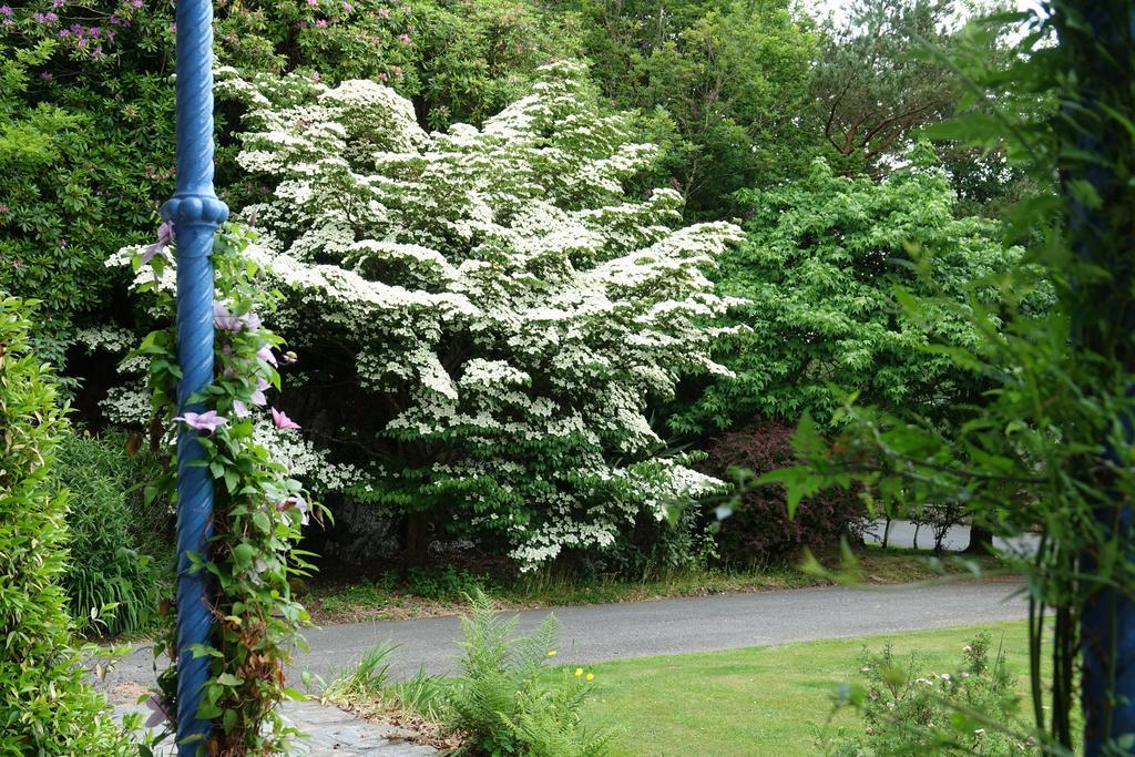 Borthwnog Hall Dolgellau Exteriér fotografie
